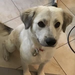 Meet your Posher, Cynthia